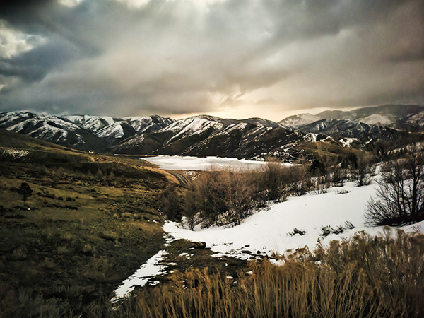 Landscape 06